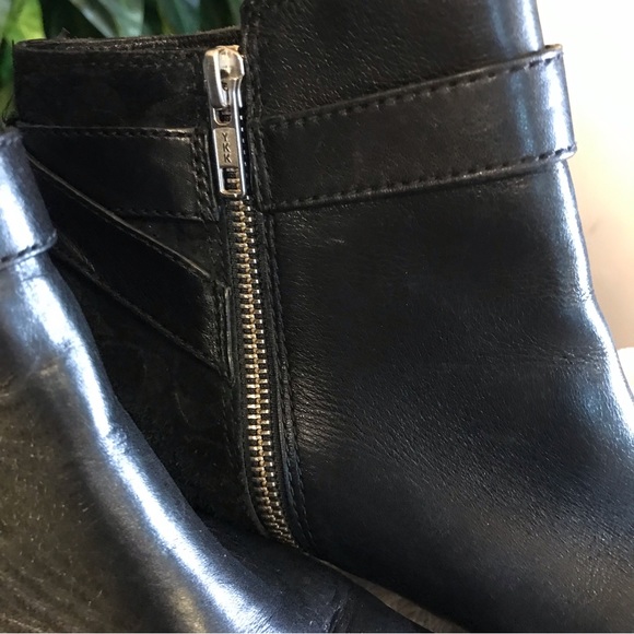 Coach - Picture 3 of 11